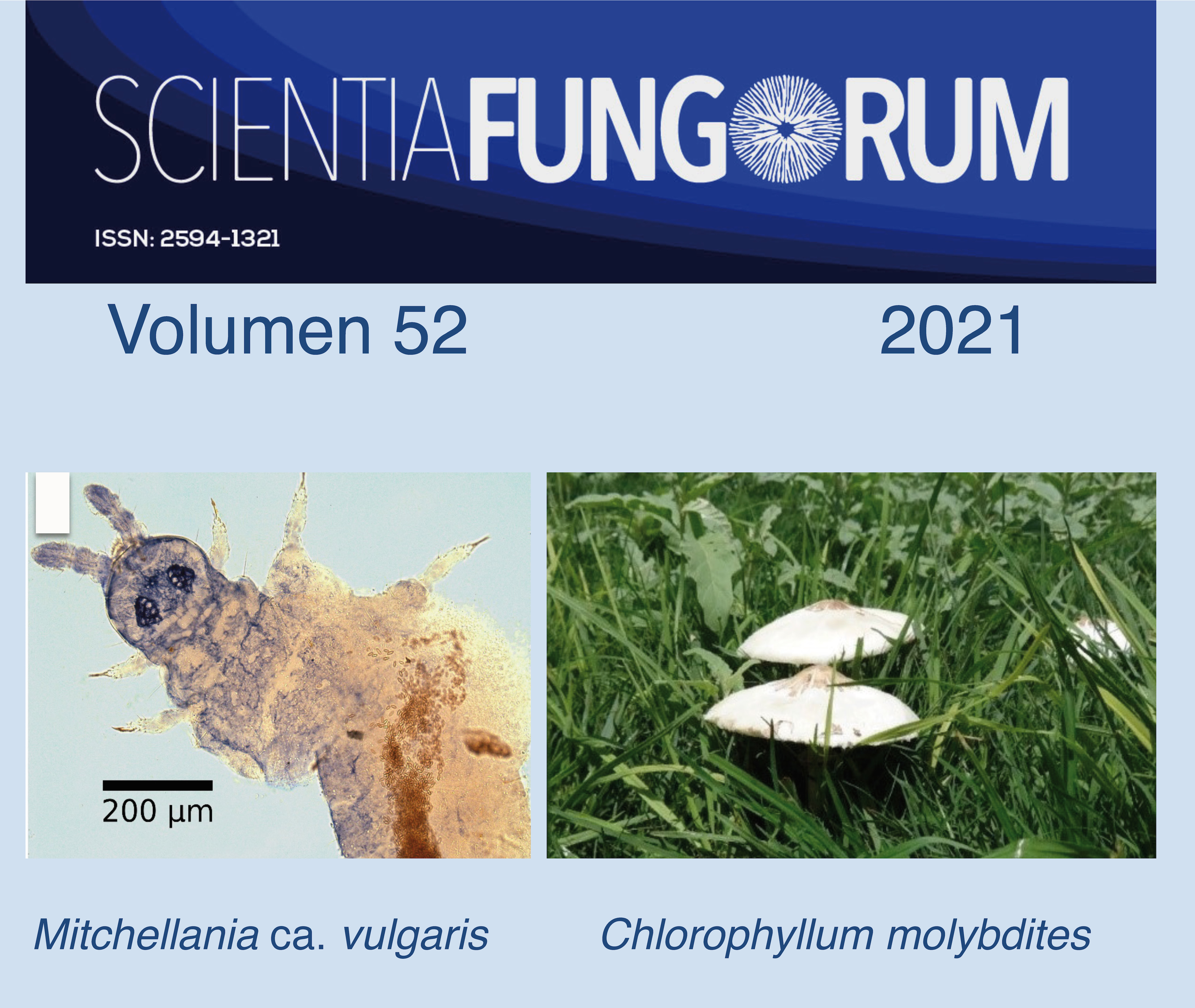 Scientia Fungorum 52 (2021)