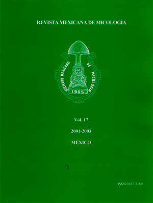 					Ver Núm. 17 (2001): RMM núm. 17 2001-2003
				