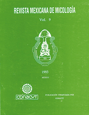 					Ver Núm. 9 (1993): RMM núm. 9 1993
				